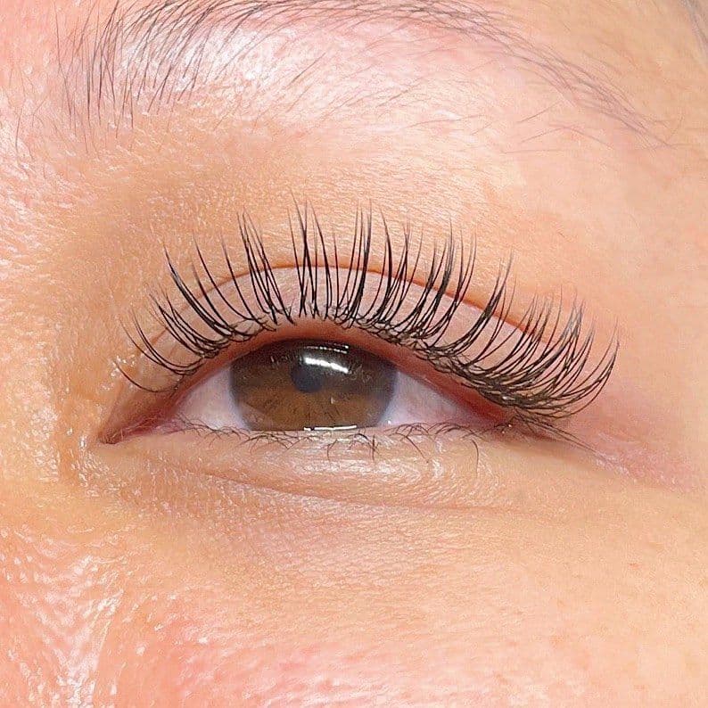 Classic Eyelash