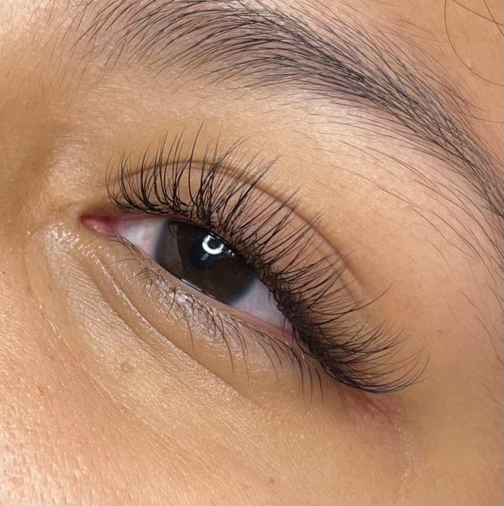 Hybrid Eyelash