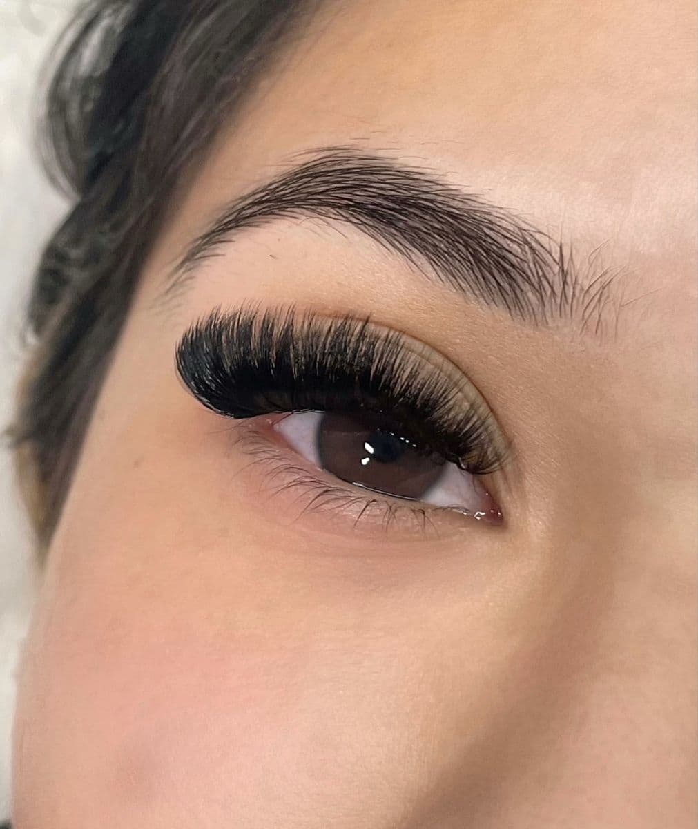 Mega Volume Eyelash