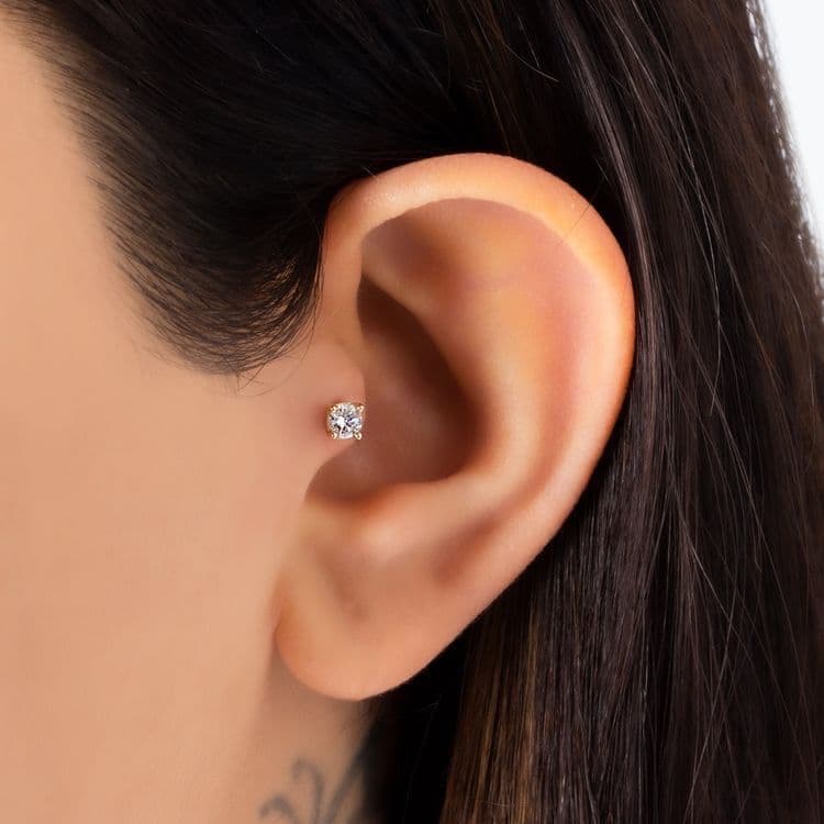 Tragus/Anti Tragus